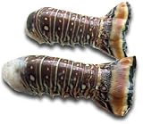 Florida Lobster Tails, 1 Pound