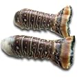 Florida Lobster Tails, 1 Pound