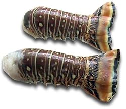 Florida Lobster Tails, 1 Pound