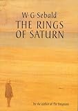 The rings of Saturn