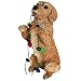Dog Breed Christmas Ornament ~ Golden Retriever