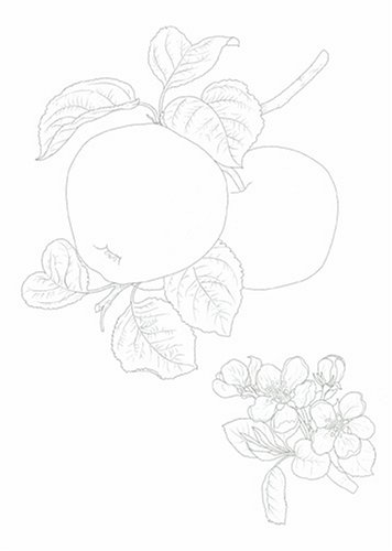 Cover image : 大人の塗り絵 花とフルーツ編 大人の塗り絵シリーズ