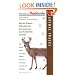 Animal Tracks (Peterson Flashguides (TM))