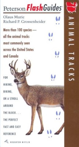 Tracks