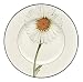 Villeroy & Boch Frueh.Teller 3 Marguerite-VB Flora