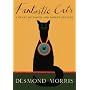 Fantastic Cats