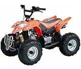 ATA-110L Youth ATV