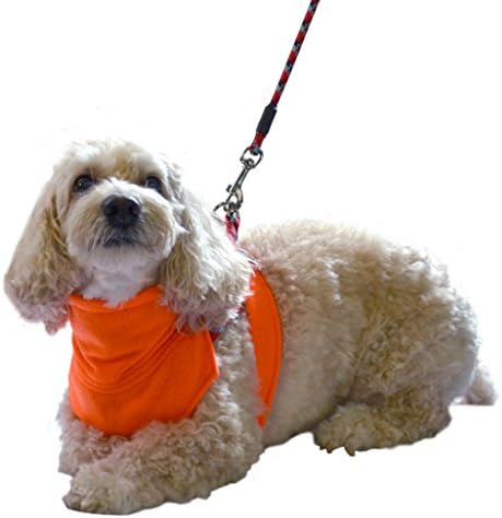 The Doggy Dickey Fleece Neck and Chest Warmer for Medium Dogs, Medium, Safety Orange
