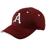 Top of the World Arkansas Razorbacks Cardinal Youth Elite 1-Fit Hat