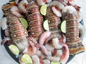 Lobster & Shrimp Gift Basket by Fresh Choice Seafood