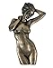 Bronzed Nude Female Wall Plaque