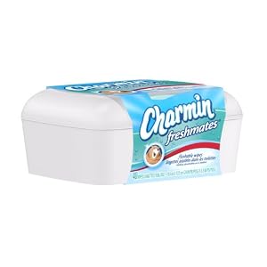 Charmin Freshmates Flushable Wipes 40 Count - With Refillable Tub (Pack of 12)