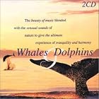 Whales and Dolphins by Anton Hughes