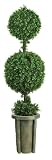 5 Ft Double Ball Leucodendron Topiary w/Decorative Vase (Indoor/Outdoor)