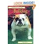 Pet Owner's Guide to the Bulldog