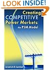 Creating Competitive Power Markets: The Pjm Model