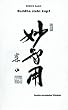 Buddha steht kopf. Die Lehren des Meisters Seung Sahn (Book on Demand)