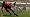 FIFA 06: Road To Fifa World Cup (Xbox 360)