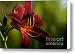 Centerstage Canvas Print / Canvas Art - Artist Reflective Moments - Photography and Digital Art I...