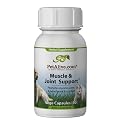 PetAlive Muscle and Joint Support 60 Caps - Glucosamine Joint & Arthritis Supplement for Dogs & Cats