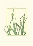 Chez Panisse Vegetables Notecards (Boxed Notecards) 画像