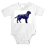 Onesie with dog, retriever, labrador