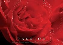 Passion (Red Rose) Art Poster Print - 24" X 36"
