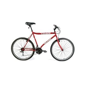 ALPHA Bicycles - Campus Commuter Bike by ALPHA Bicycles