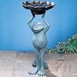 Happy Frog Birdbath