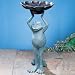 Happy Frog Birdbath