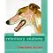 find great bios, vet textbooks, and general good reads!