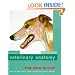 Color Atlas Of Veterinary Anatomy: Volume 3, The Dog And Cat