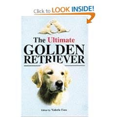 The Ultimate Golden Retriever
