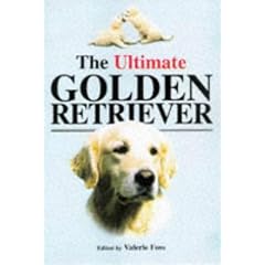 The Ultimate Golden Retriever