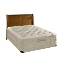 Spring Air Back Supporter Merit Luxury Firm Mattress Set