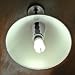 Evolution 14 Watt CF Full Spectrum Fluorescent Bulb