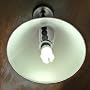 Evolution 14 Watt CF Full Spectrum Fluorescent Bulb