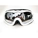 Alpland Skibrille Snowboardbrille Weiss - SILVER LENS!