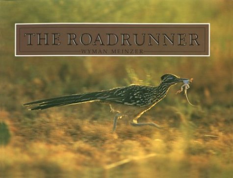 the roadrunner