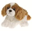 king charles hunde