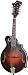 J.Bovier F5V-AV-S Mandolin, Antique Vintage Satin