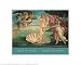 Birth Of Venus by Sandro Botticelli - Fine Art Print / Poster - 20.00 x 16.00