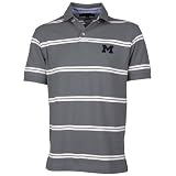 Tommy Hilfiger Michigan Wolverines Ash East Cliff Polo