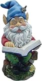 Reading Garden Gnome