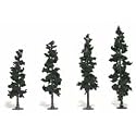 Conifer Tree Kit, Medium (24)