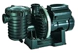 Sta-Rite P6E6Y4H-209L IntelliPro VS 3050 Pump 230 Volt 16 Amps Black