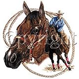Rodeo Horse Adult Long Sleeve T-Shirt