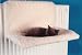 Radiator Cat Bed