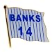 Chicago Cubs Ernie Banks Flag Souvenir Pin