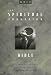 NRSV Spiritual Formation Bible